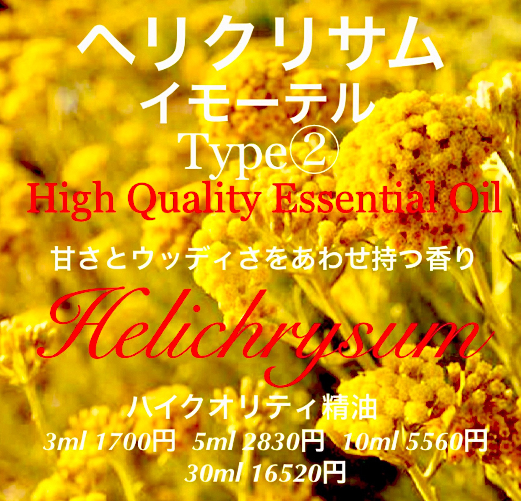 ヘリクリサム（イモーテル）Type②精油10ml