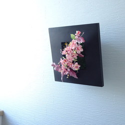 売切)[サクラ/壁掛けOK/パンフラワー/粘土の花]大人シックな八重桜のパンフラワーアレンジメント 5枚目の画像