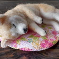 オンライン セールハンドメイド・手芸 - レフア様専用♪犬 柴犬