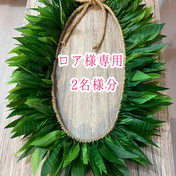 リーフヒップベルト ヒップベルト