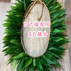 受注制作】タヒチアン ヒップベルト グリーンベルト リーフベルト