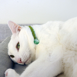 猫の首輪　トリミングブレード　ビバーチェ　黄緑 8枚目の画像