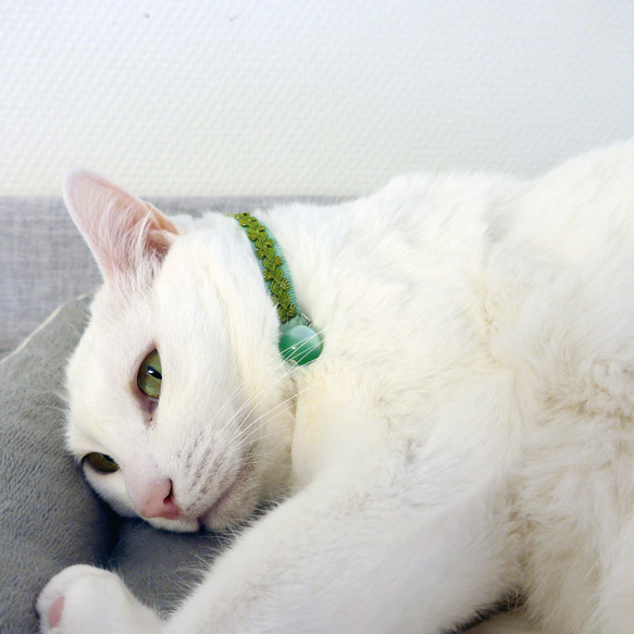 猫の首輪　トリミングブレード　ビバーチェ　黄緑 8枚目の画像