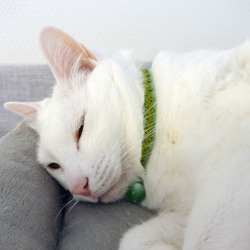 猫の首輪　トリミングブレード　ビバーチェ　黄緑 9枚目の画像