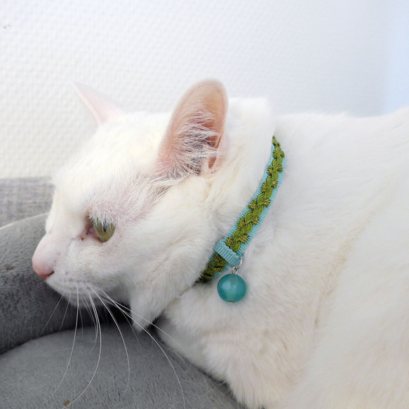 猫の首輪　トリミングブレード　ビバーチェ　黄緑 10枚目の画像