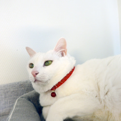 猫の首輪　トリミングブレード　ビバーチェ　サルビア 9枚目の画像