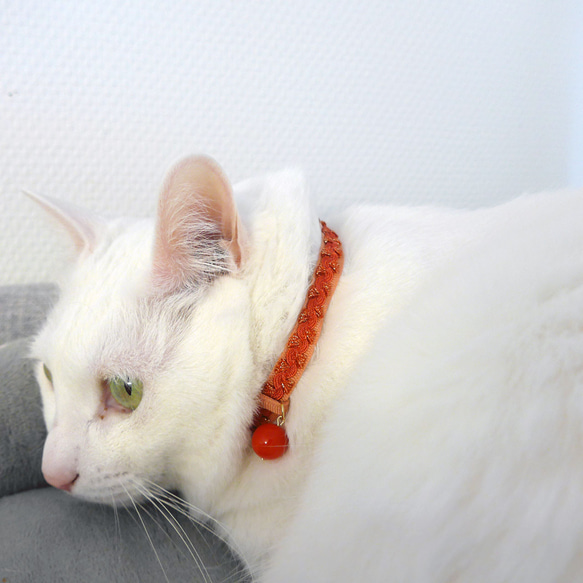 猫の首輪　トリミングブレード　ビバーチェ　サルビア 10枚目の画像