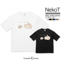 送料無料[オーバーサイズ]ハリネズミと出会う猫[ビッグシルエットTシャツ] 1枚目の画像