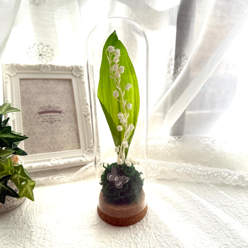 とても希少なプリザーブドフラワーのすずらんとバタフライのガラス