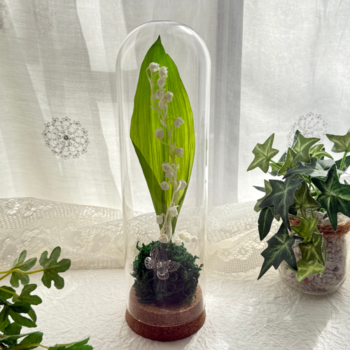 とても希少なプリザーブドフラワーのすずらんとバタフライのガラス