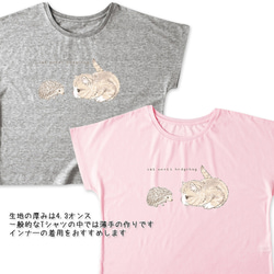 送料無料[ドルマンTシャツ]ハリネズミと出会う猫[レディース] 2枚目の画像