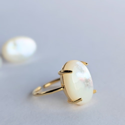 14kgf [白珍珠 AAA] 珍珠母貝單隻耳環&amp;戒指套裝 SV925 可用 第3張的照片