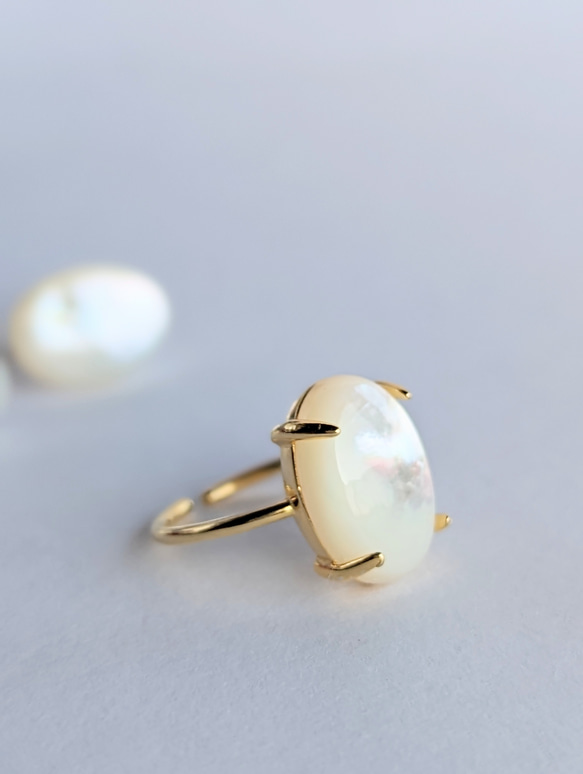 14kgf [白珍珠 AAA] 珍珠母貝單隻耳環&amp;戒指套裝 SV925 可用 第3張的照片