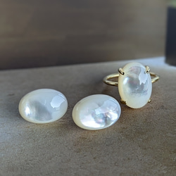 14kgf [白珍珠 AAA] 珍珠母貝單隻耳環&amp;戒指套裝 SV925 可用 第4張的照片