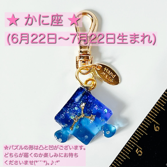 選べる12星座チャーム付き ✿︎ シマエナガちゃん ✿︎ シャカシャカキーホルダー /シェイカー 6枚目の画像