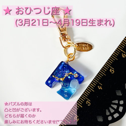 選べる12星座チャーム付き ✿︎ シマエナガちゃん ✿︎ シャカシャカキーホルダー /シェイカー 3枚目の画像