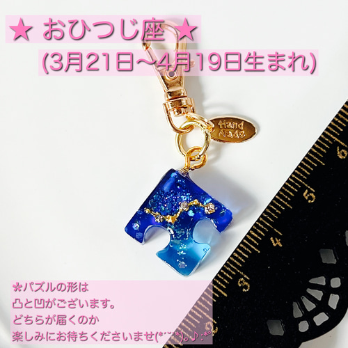 選べる12星座チャーム付き ✿︎ シマエナガちゃん