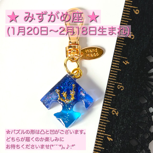 選べる12星座チャーム付き ✿︎ シマエナガちゃん ✿︎ シャカシャカ