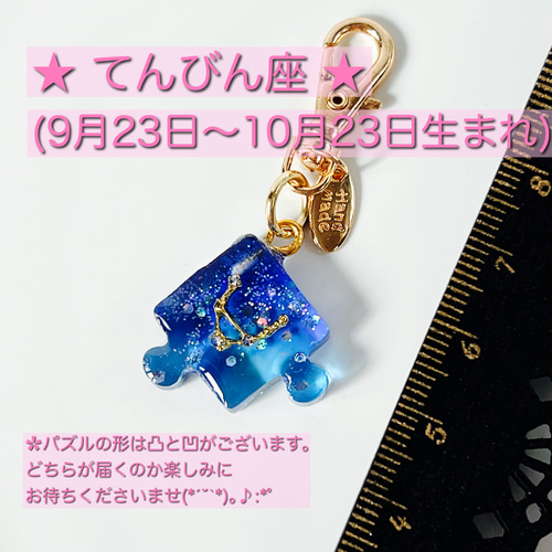 選べる12星座チャーム付き ✿︎ シマエナガちゃん