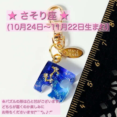 選べる12星座チャーム付き ✿︎ シマエナガちゃん ✿︎ シャカシャカ