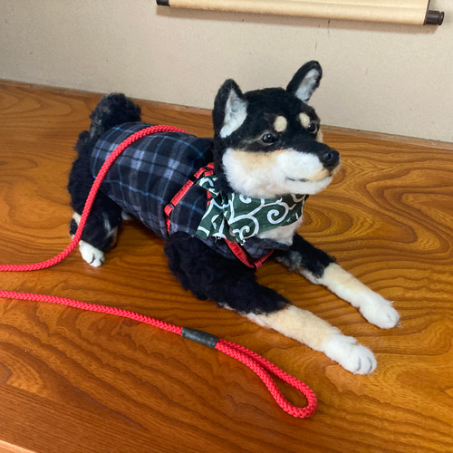 カンタロウ　羊毛フェルト Needle felted cats🐾🐾🐾 オーダーねこさん、とうとう3匹完成
