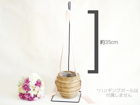 送料無料[母の日早割2024]RIBBON HANGING BASKET / Carnation Bouquet 11枚目の画像