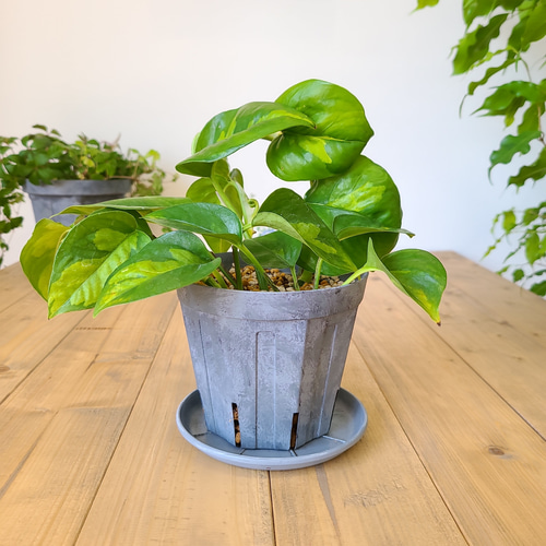 リメイク鉢】スリット鉢4号 モルタル風リメイク ハード塗装 植木鉢