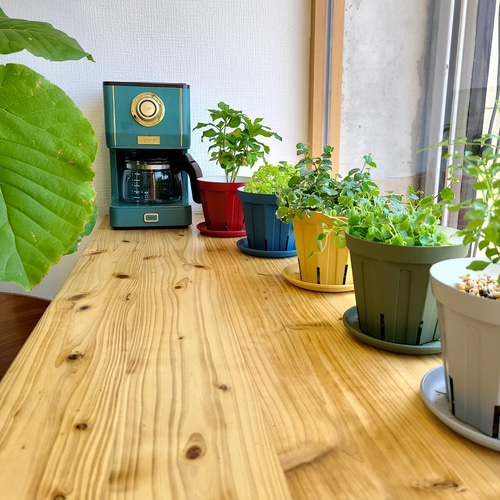 リメイク鉢】スリット鉢4号 ツートンカラーリメイク ミモザイエロー