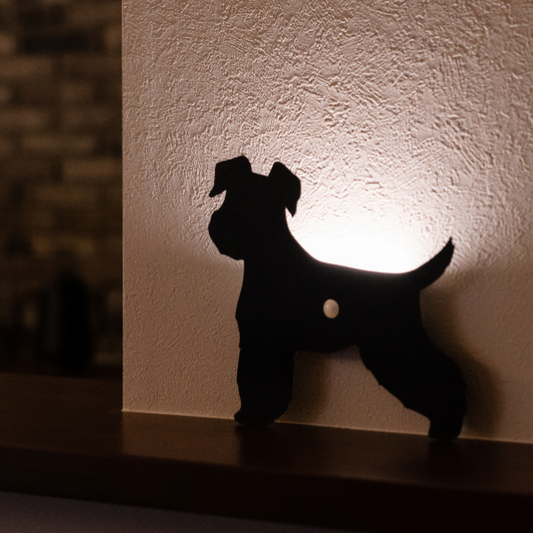 人感センサー　ウォールライト　シュナウザー