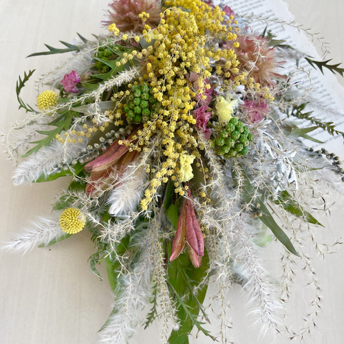 ミモザとリューカデンドロ プルモサム&ロングリーフユーカリ&とクラス  