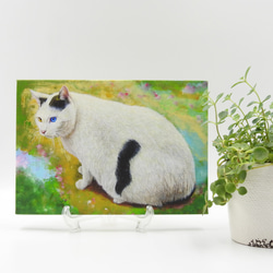 絵画パネル 「オッドアイ(猫)」 A5サイズ /和紙 10枚目の画像
