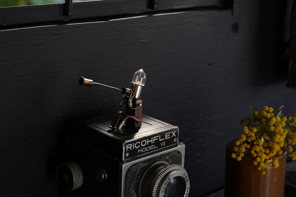 「共有」 6枚目の画像