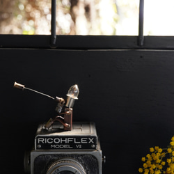 「共有」 5枚目の画像