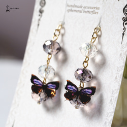 耳飾り 透明×紫 ガラスビーズのアシンメトリーイヤリング 紫蝶を添えて 〈 イヤリング , ピアス 〉 3枚目の画像