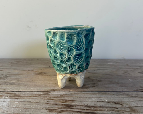 青色 貝殻模様 植木鉢 お椀・ボウル・鉢 福美よう 通販 15702133