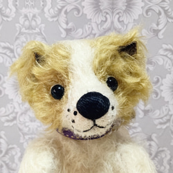 ぶちのわんこ　白×黄土色／テディベアタイプの犬のぬいぐるみ　約24cm 6枚目の画像