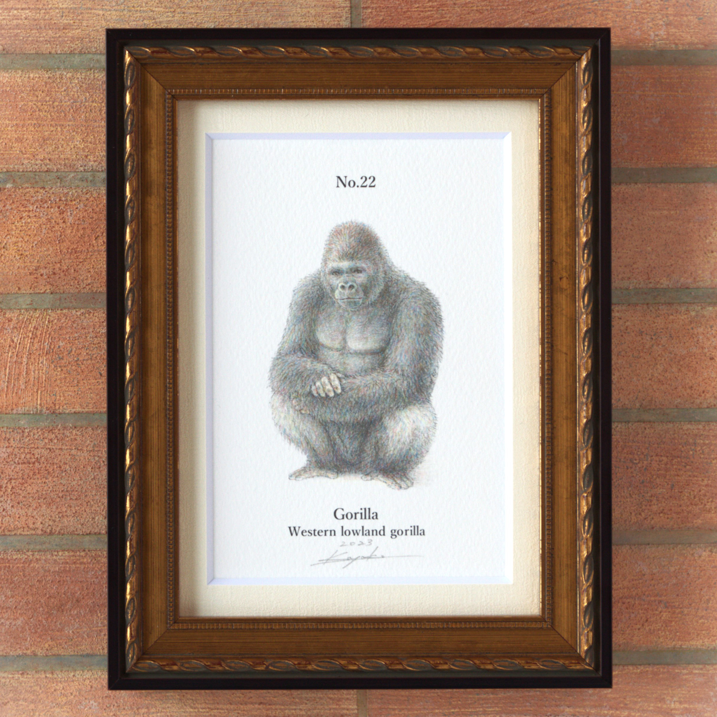 人気ブランド 海外通販 - 国内入手困難 彩色 手描き】 鉛筆画 gorilla lowland Western Gorilla No.22 アート・デザイン・音楽