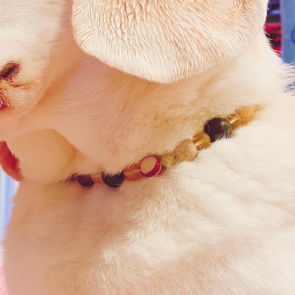 ✴︎アルファベットチャーム付✴︎犬猫オシャレ首輪！ネックレス・カラー・伸縮透明ゴム使用・天然石・ヒーリングストーン003 6枚目の画像