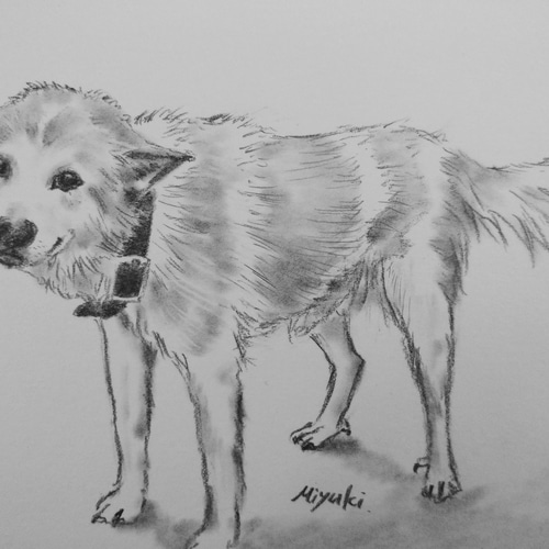 ペット似顔絵スケッチ描きます!【B5サイズ】 絵画 実幸 通販 ペット似顔絵スケッチ描きます!【B5サイズ】 絵画 実幸 通販