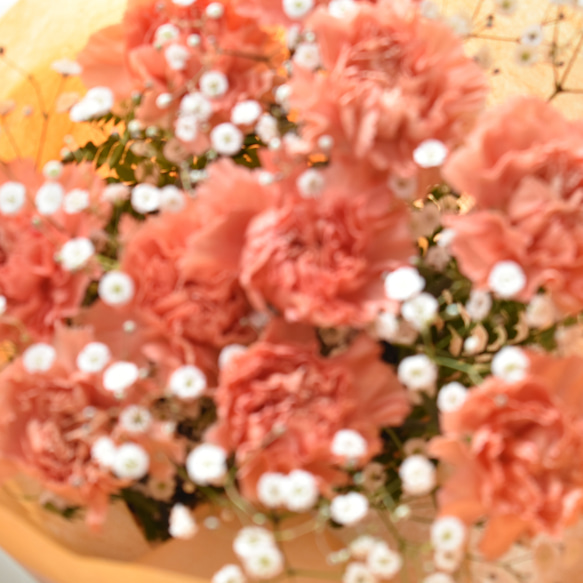 【生花】母の日 カーネーション10本とかすみ草の花束 10色から選べます 4枚目の画像
