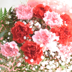 【生花】母の日 カーネーション10本とかすみ草の花束 10色から選べます 5枚目の画像
