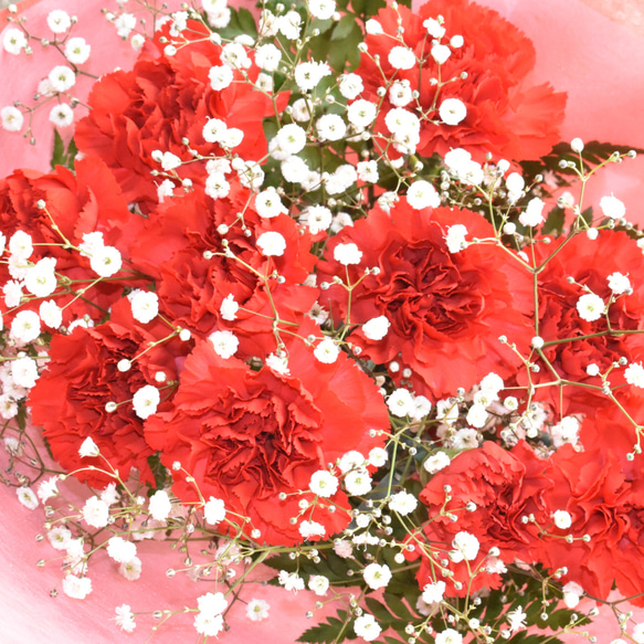 【生花】母の日 カーネーション10本とかすみ草の花束 10色から選べます 1枚目の画像
