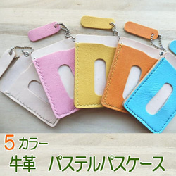 5色爽やかなパステルカラー本牛革パスケース・定期入れ/カード2枚用 