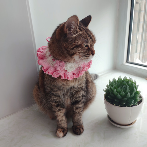 ピンクふりふり毛糸ペットアクセサリー　犬服　猫服　ペットスタイ　よだれかけ　かぎ針編み 4枚目の画像