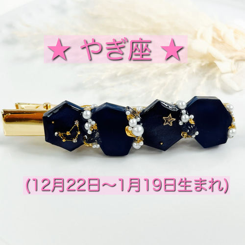 選べる12星座/ヘアアクセサリー/ヘアクリップ/夜空 に輝く 星座/星