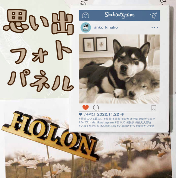 限定10枚 レアパネル生地 6柄セット マルチーズ 犬パネル生地