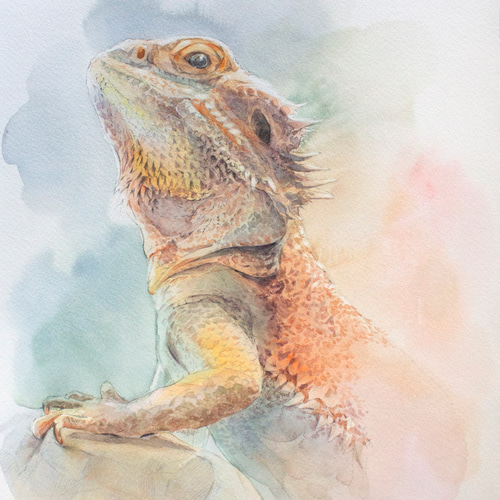 トカゲ【水彩画】　絵画　絵　原画　抽象画　現代アート　可愛い クリオネ【水彩画】 絵画 絵 原画 抽象画 現代アート 可愛い