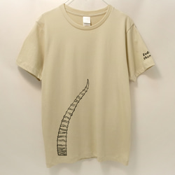 ガゼル・ベージュ　Tシャツ 1枚目の画像