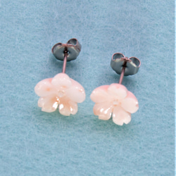 宝石珊瑚　さんご　アクセサリー・ジュエリ－ イヤリングノンホールピアス　cw－01466 1枚目の画像