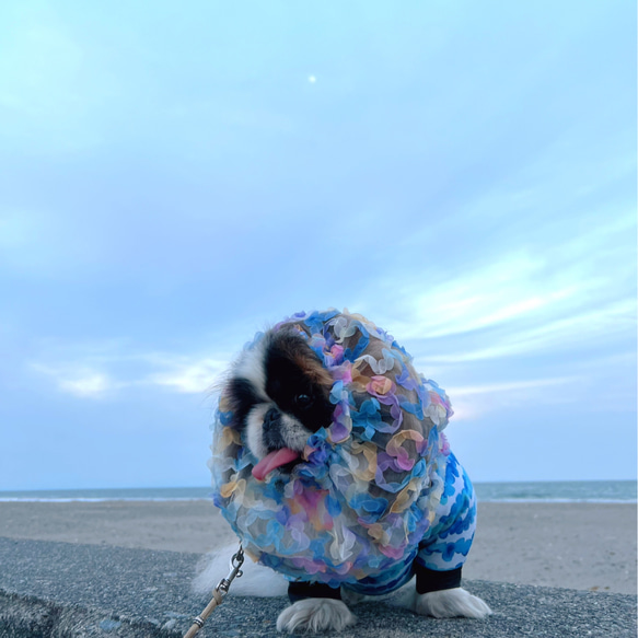 海と空 1枚目の画像